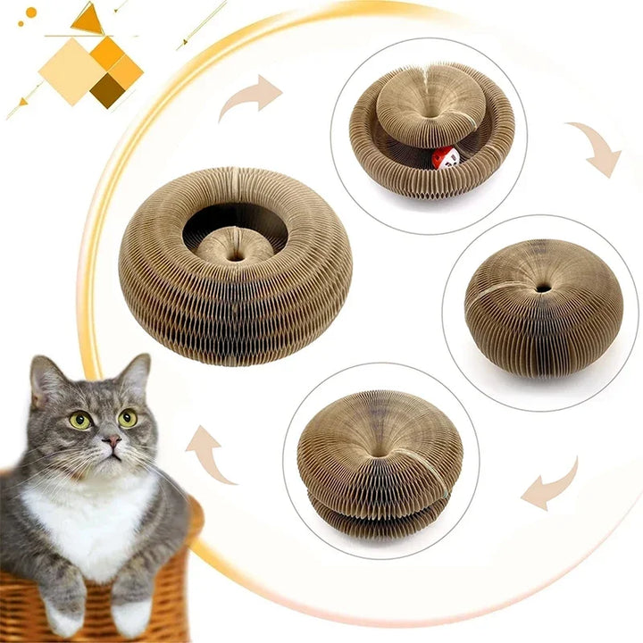 Transformable Cat Scratcher Toy