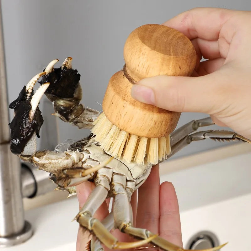 Wooden Handle Kitchen Dish Brush
